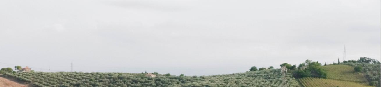 Paesaggi culturali. Luoghi e metodi tra Spagna e Italia 27 Novembre 2025, Facoltà di Architettura, Sapienza Università di Roma , aula B, piazza Borghese 9 10.00-13.00; Facoltà ICI, corso di Laurea Edile Architettura, aula 28, via Eudossiana 18, 14.00-17.0 immagine di una collina verde